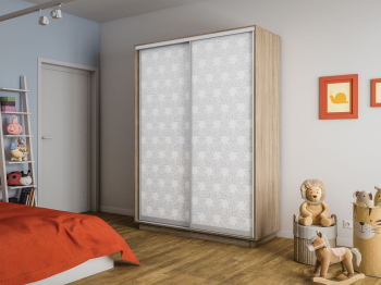 Шкаф-купе Экспресс 2-х дверный Фотопечать Калейдоскоп Стекла 160х45х220