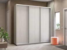 Шкафы-купе, Шкаф-купе Экспресс Элемент трио 2200 x 2400 x 600