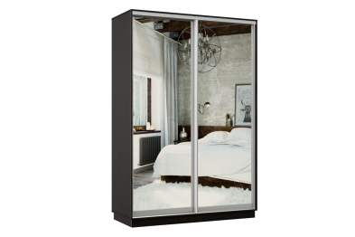 Шкаф-купе Премьер Лайт 04 (01;01) двухдверный